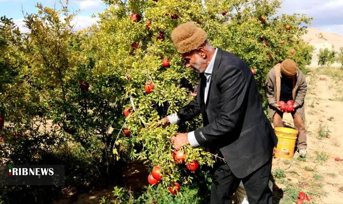 پیام خراسان