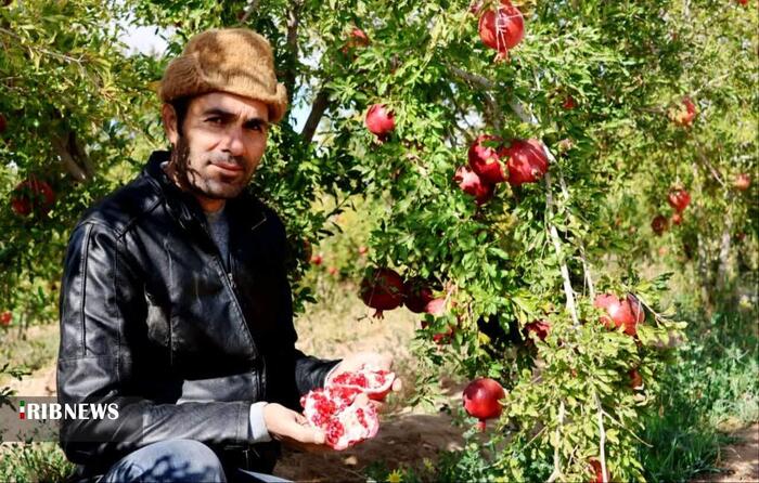 پیام خراسان