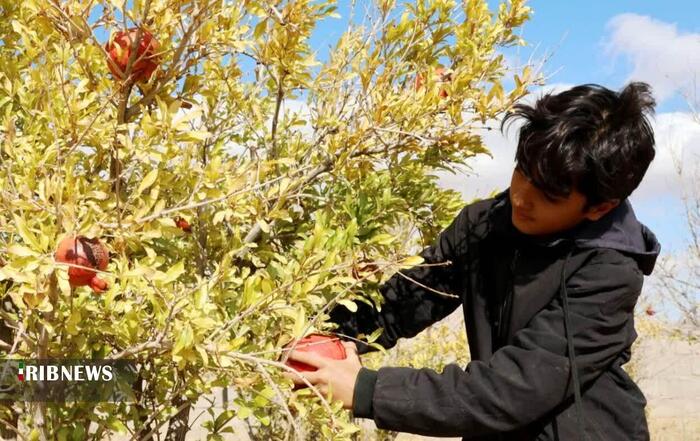 پیام خراسان