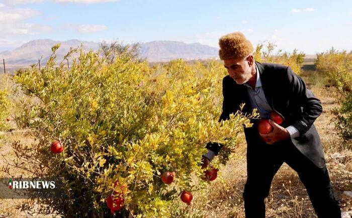 پیام خراسان