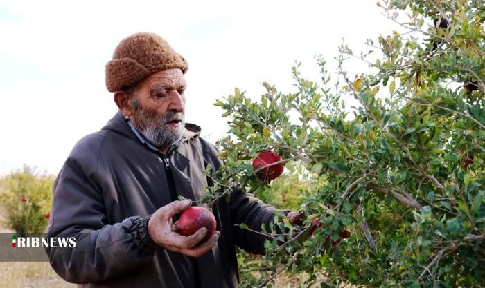 پیام خراسان