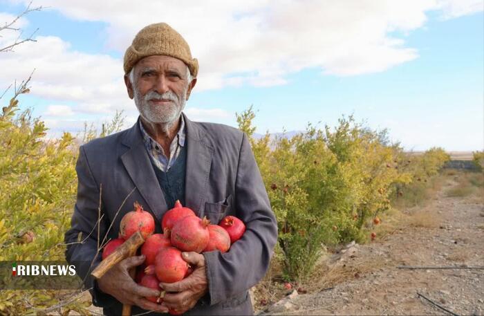 پیام خراسان