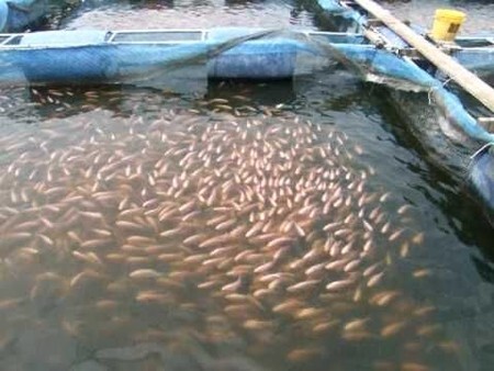 پیام خراسان