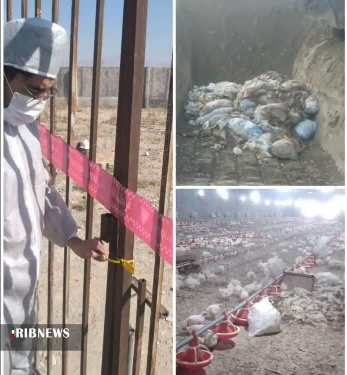 پیام خراسان