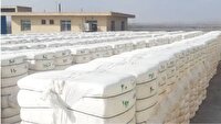 آغاز فعالیت کارخانه فرآوری پنبه در سرخس با آغاز فصل برداشت