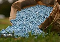 رشد ۶۴ درصدی توزیع کود‌های کشاورزی در خراسان شمالی