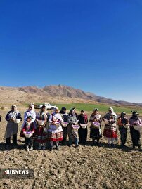 برگزاری مسابقه تلاش (گل‌جمع‌کنی و گل پاک‌کنی زعفران) در فاروج