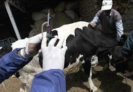 پیام خراسان