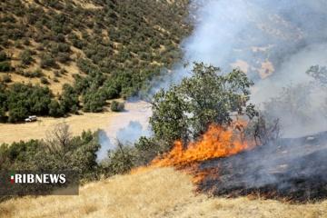 ۸۶ هکتار از عرصه‌های طبیعی بجنورد امسال طعمه آتش شد