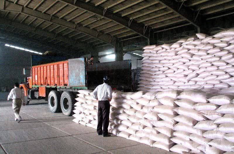 توزیع بیش از ۳ هزار تن کود شیمیایی در فیروزه