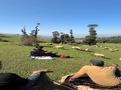 آواز زیبای مهدی دارابی در دل طبیعت