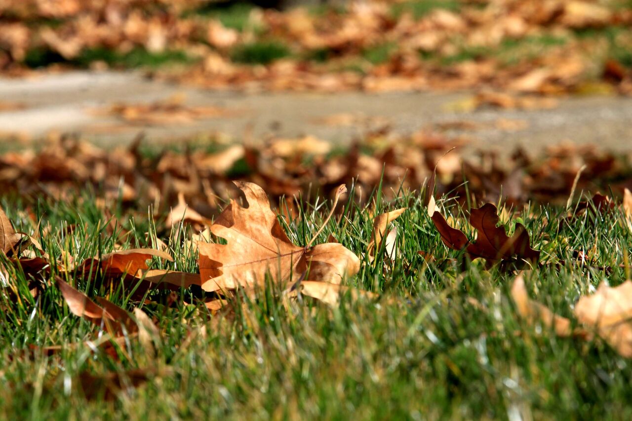 هشدار هواشناسی خراسان رضوی؛ فعلا از باران خبری نیست!