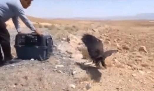 پیام خراسان