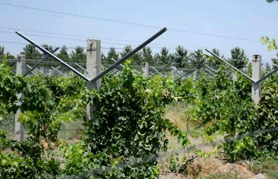 پیام خراسان