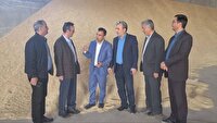 تسویه بدهی ۴۸ میلیارد تومانی جهاد کشاورزی به شرکت‌های تولید کننده بذر خراسان رضوی