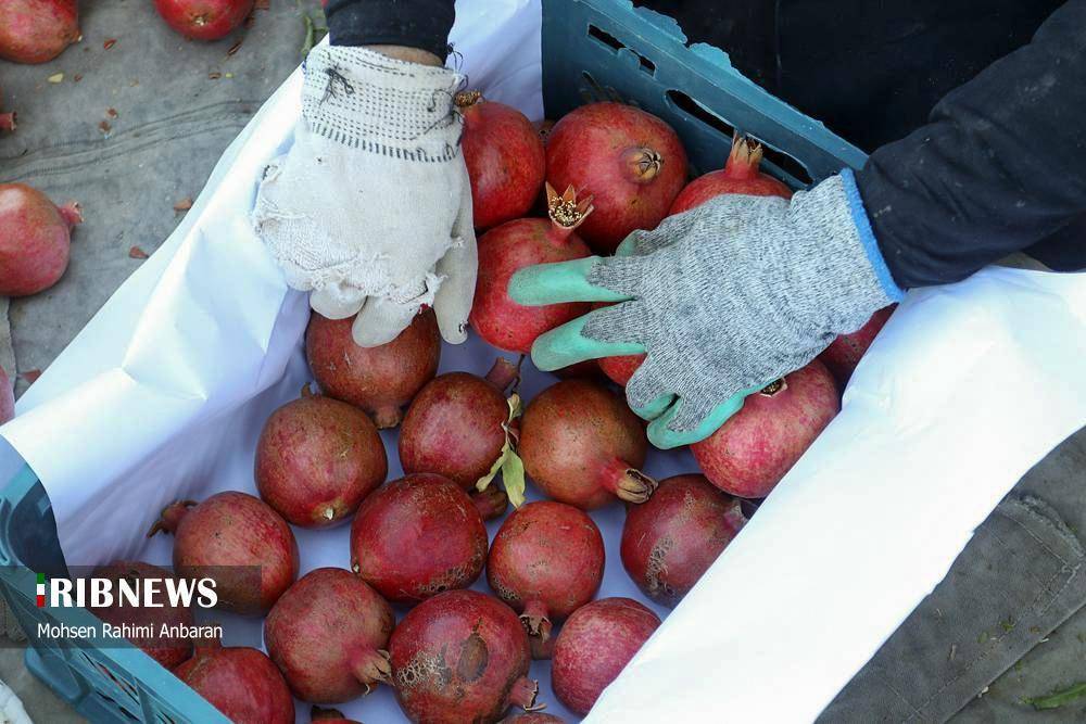 پیام خراسان