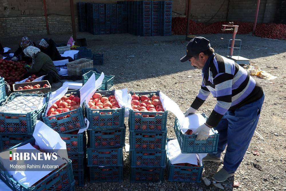 پیام خراسان