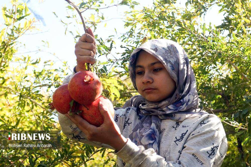 پیام خراسان