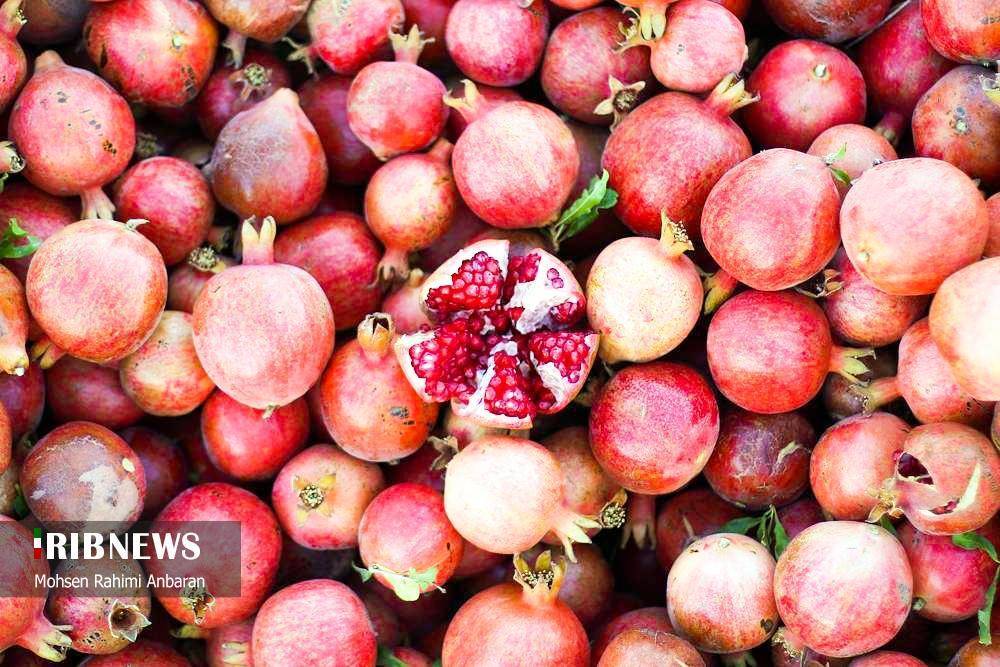 پیام خراسان