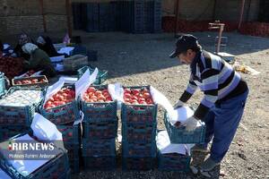 پیام خراسان