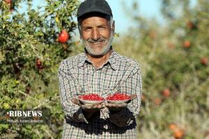 پیام خراسان