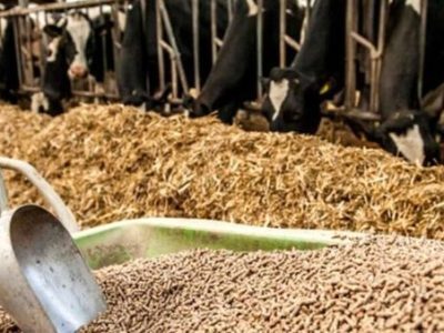 پیام خراسان