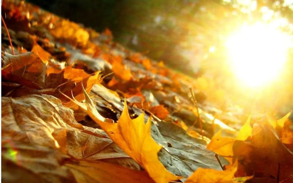 کاهش چشم‌گیر بارش‌ها تا آذرماه در خراسان رضوی