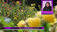 از شدتِ سرمای هوا کاسته می‌شود