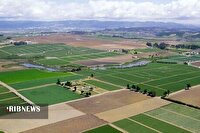 ۹۶۹ هکتار از اراضی بایر دولتی بجنورد تعیین تکلیف شد