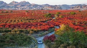 پیام خراسان