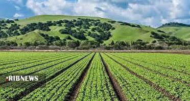 پرداخت ۲ هزار و ۷۳۰ میلیارد ریال تسهیلات کشاورزی در خراسان شمالی