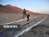 ضدعفونی و آهک‌پاشی آبشخور‌های منطقه حفاظت‌شده قرخود