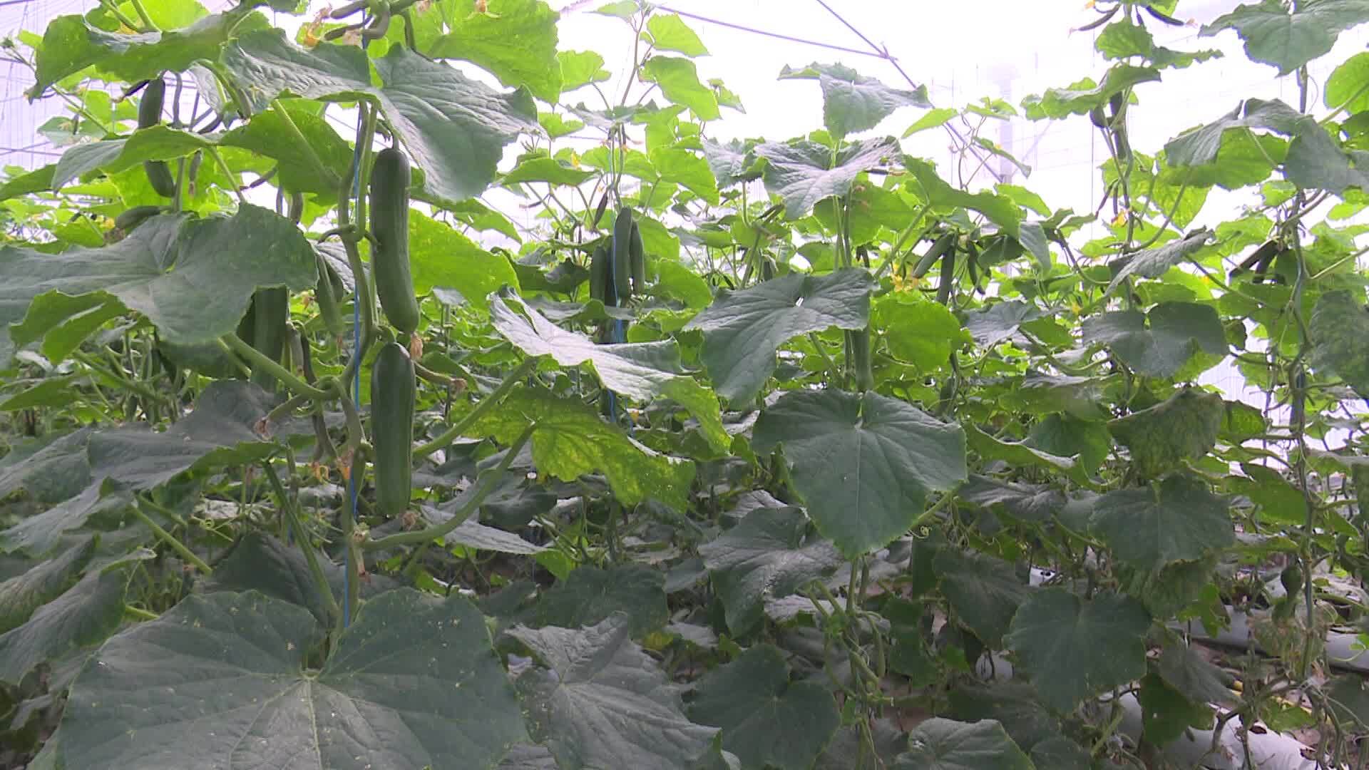 پیام خراسان