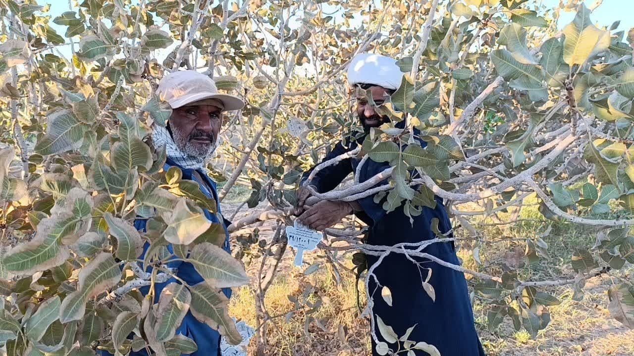 پیام خراسان