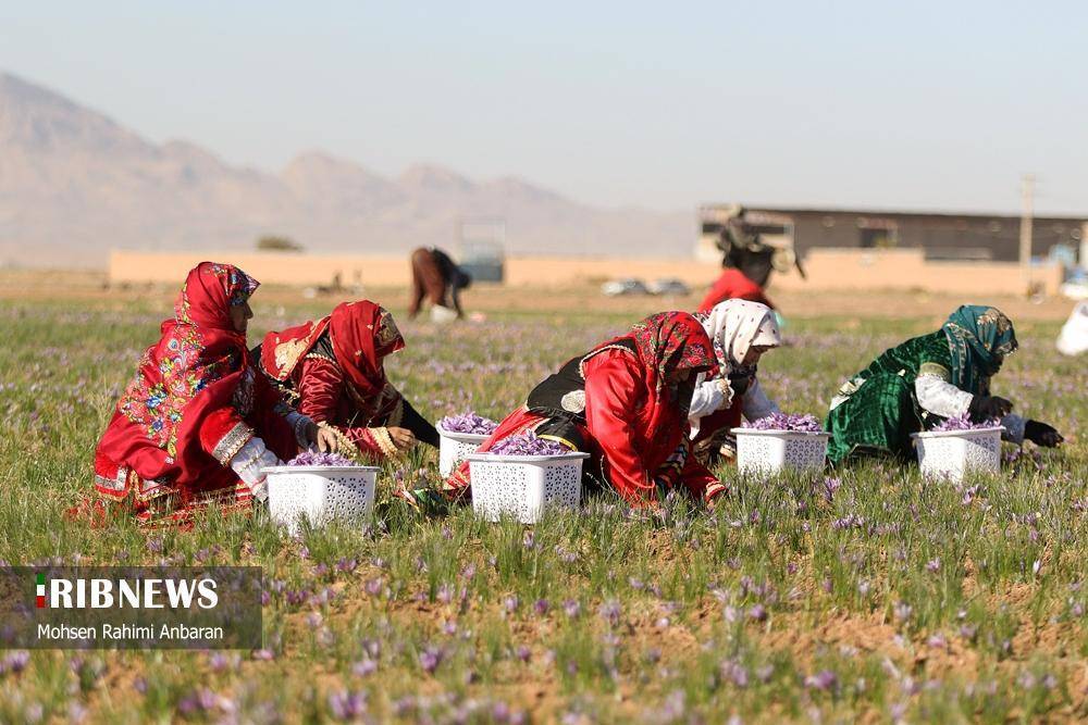 پیام خراسان