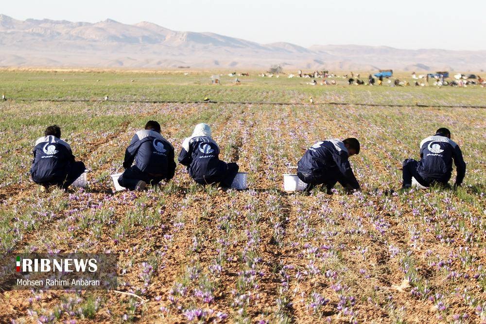 پیام خراسان