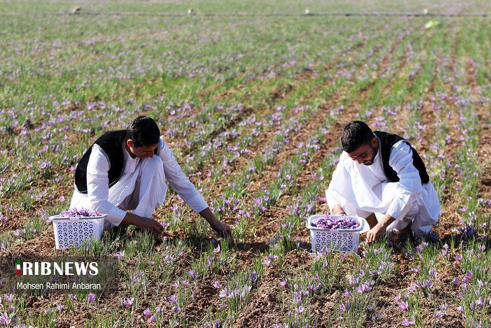 پیام خراسان