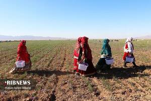 پیام خراسان