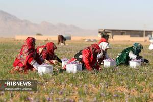 پیام خراسان