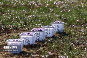 پیام خراسان