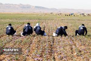 پیام خراسان