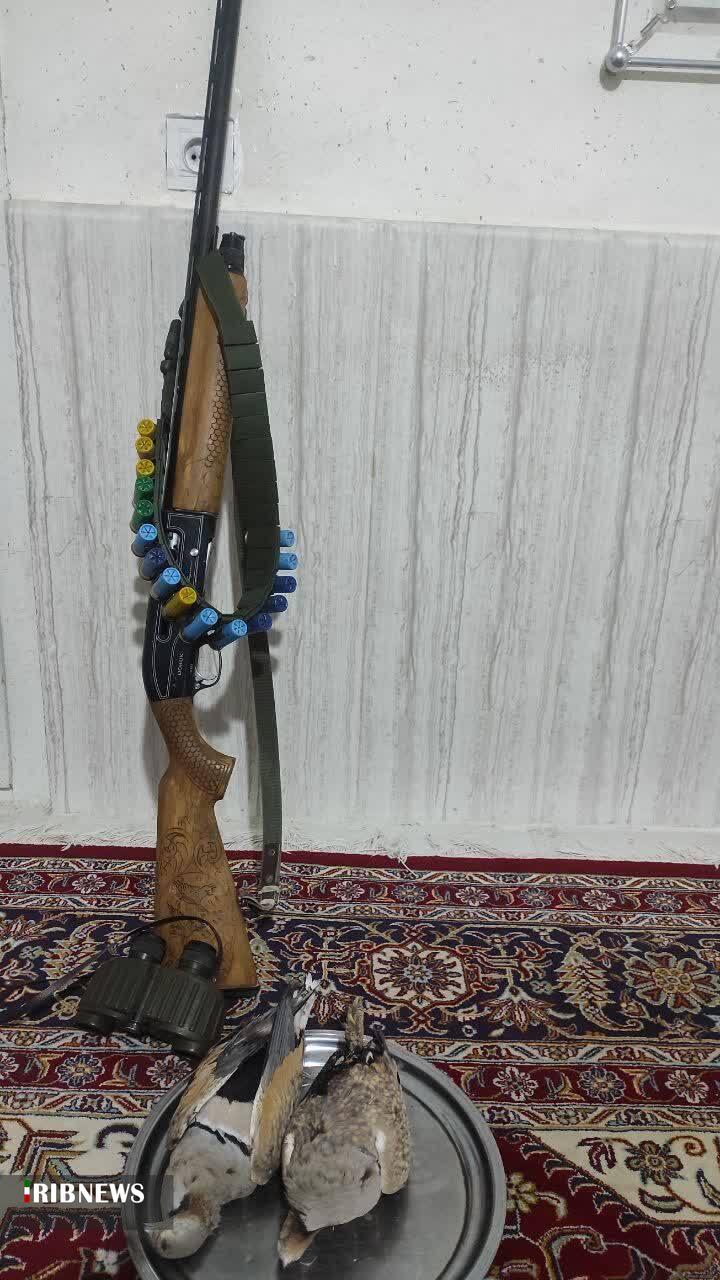 دستگیری شکارچی غیرمجاز پرندگان در پارک ملی سالوک