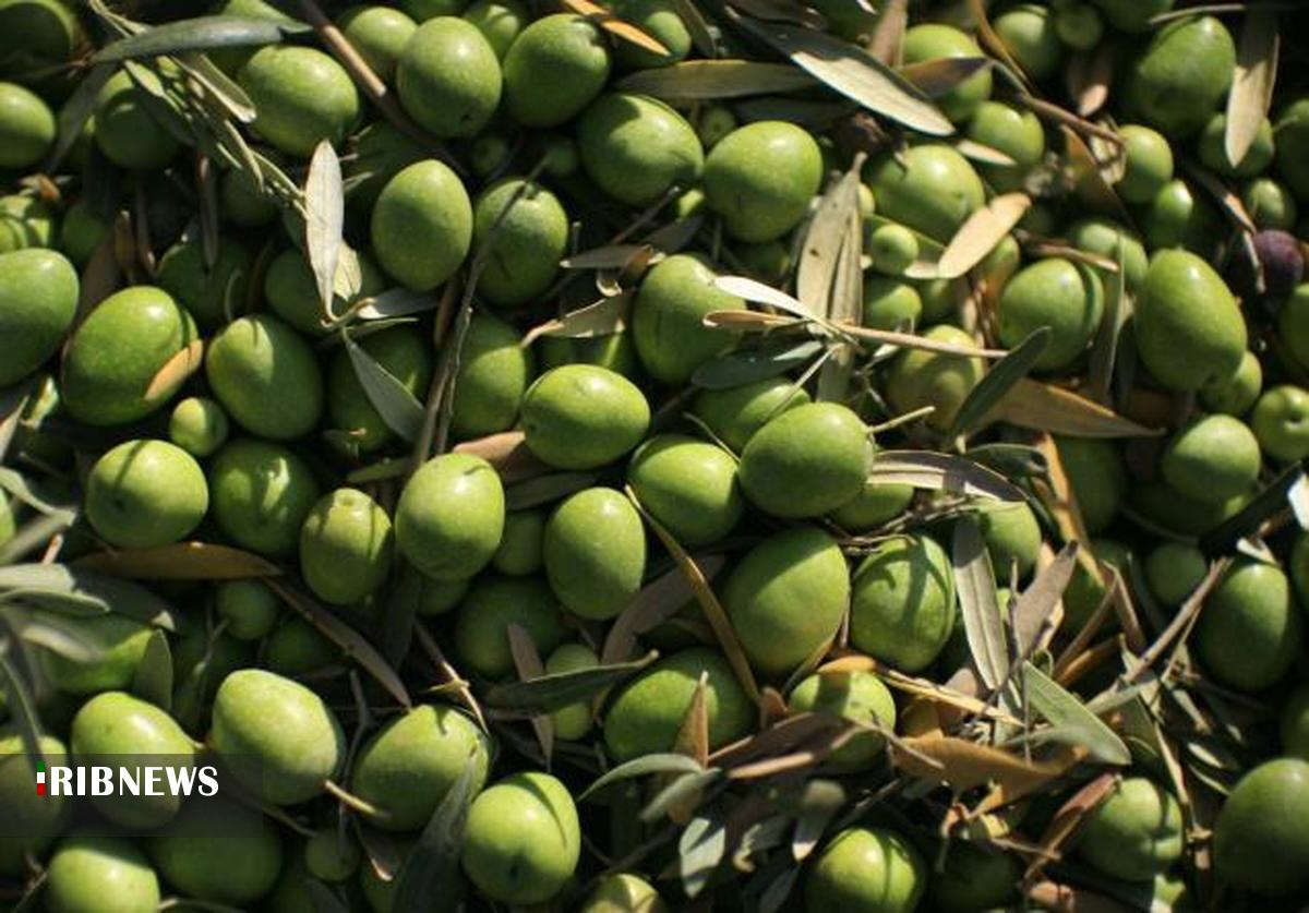 پیام خراسان