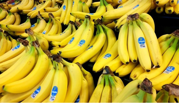 اولین محموله موز از پاکستان وارد خراسان جنوبی شد