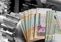 اختصاص ۲۶ درصد تسهیلات تبصره ۱۸ خراسان جنوبی به بانوان