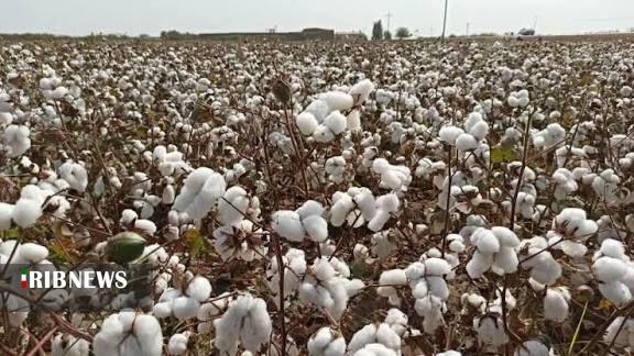 پیام خراسان