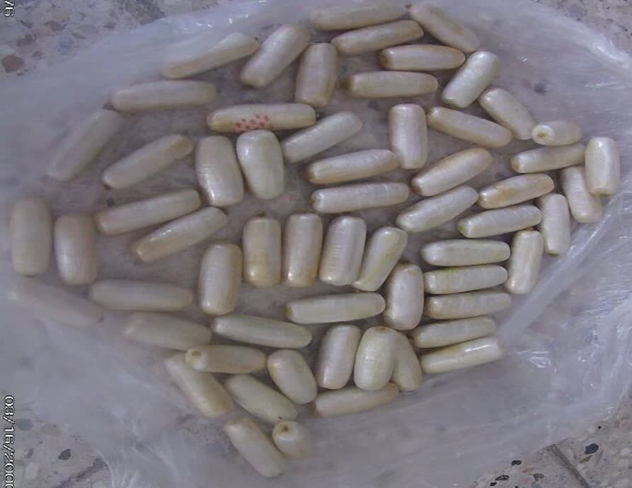 پیام خراسان