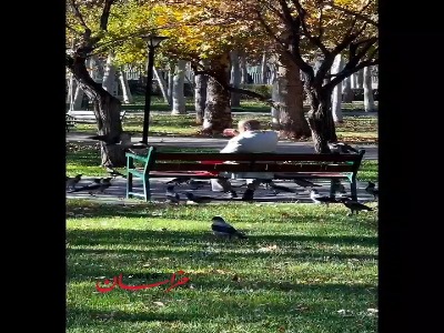 لحظه‌ای متفاوت در پارک ملت مشهد