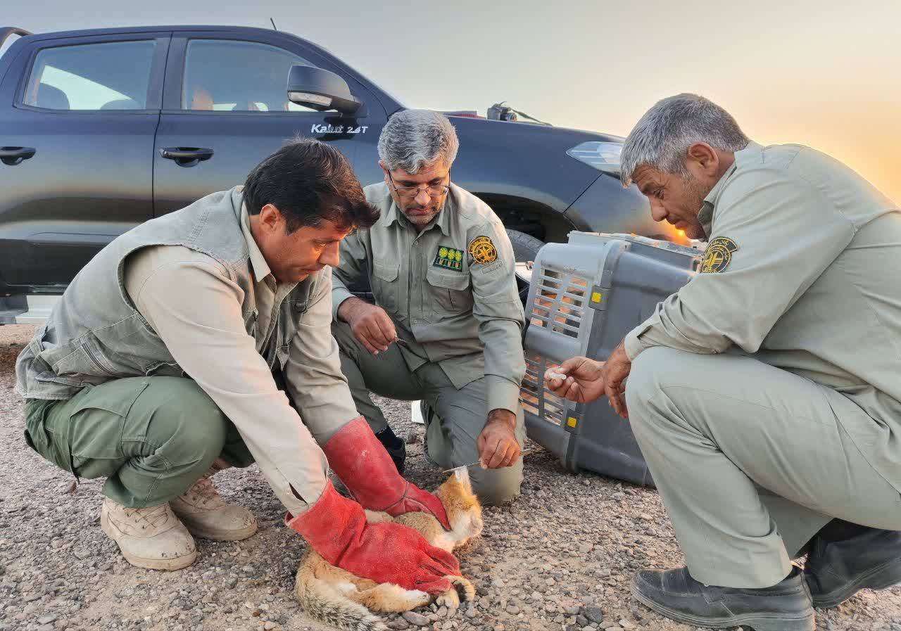 پیام خراسان