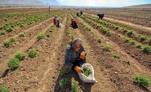 پیام خراسان